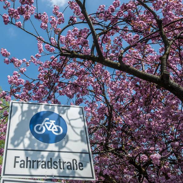 leverkusen-fahrradstrasse--ALF_2299