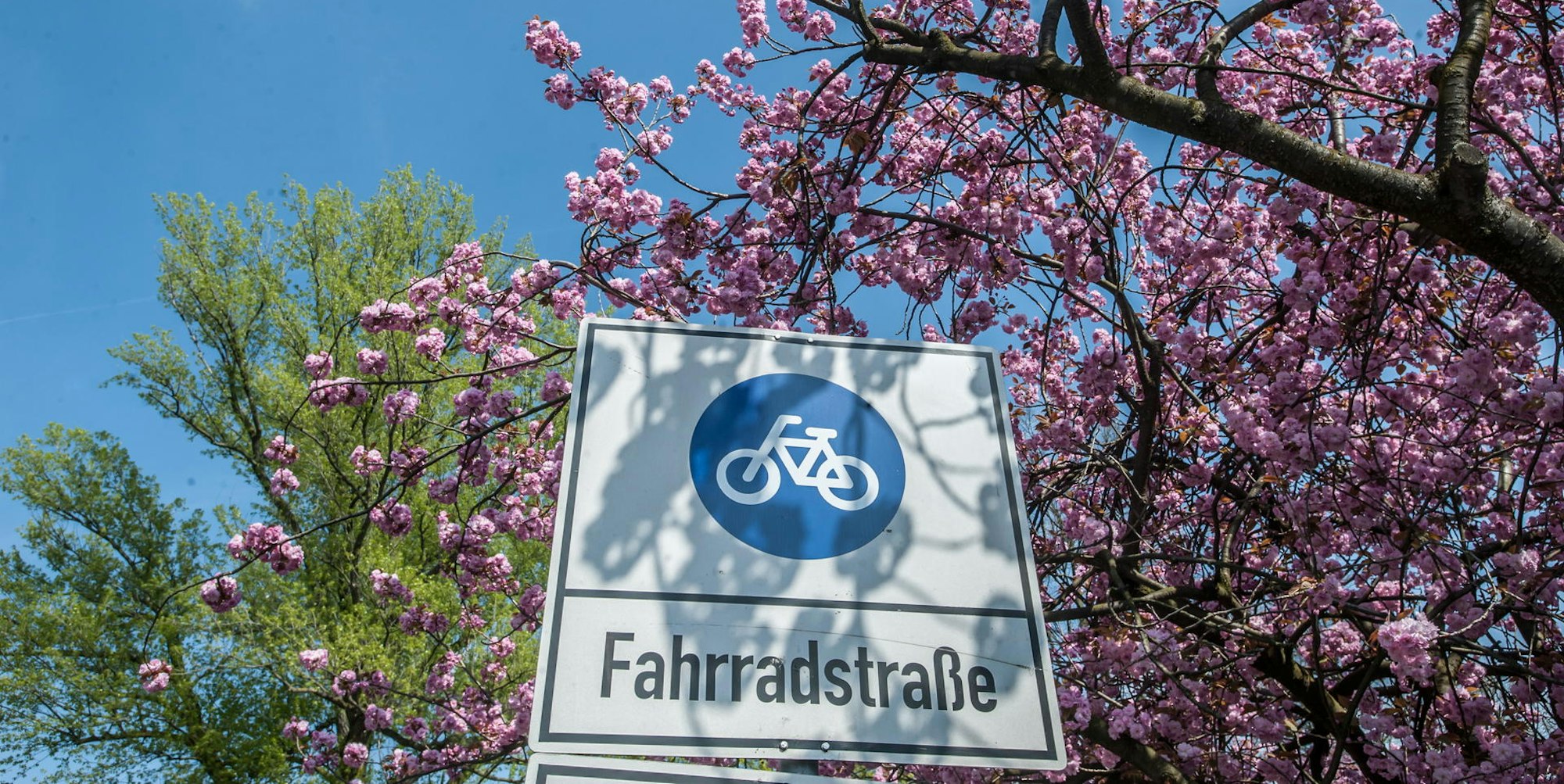 leverkusen-fahrradstrasse--ALF_2299