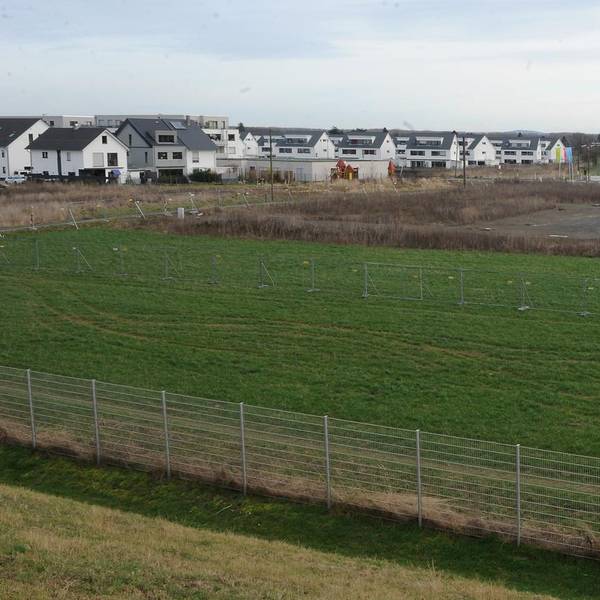 Suerther Feld