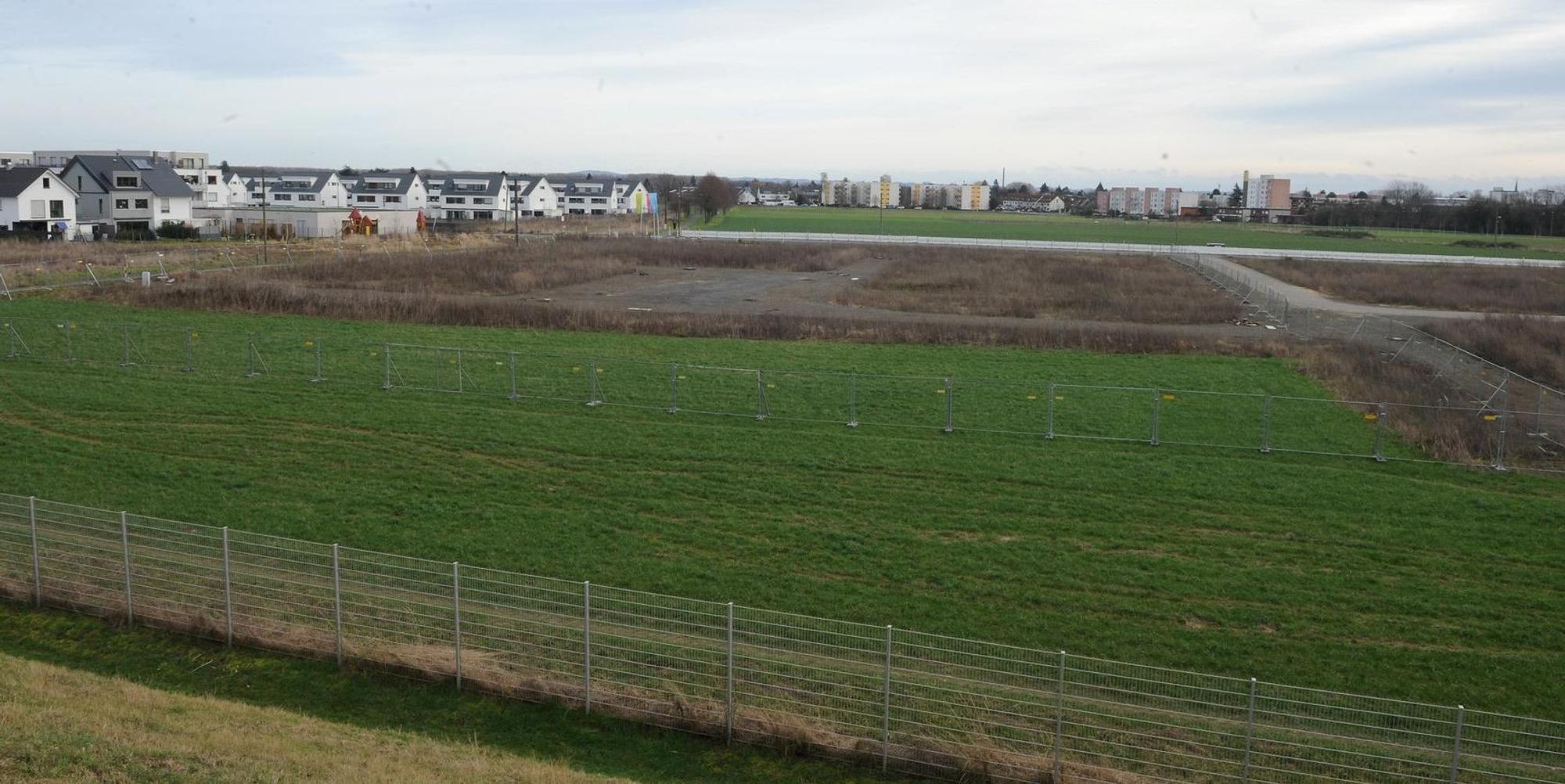 Suerther Feld