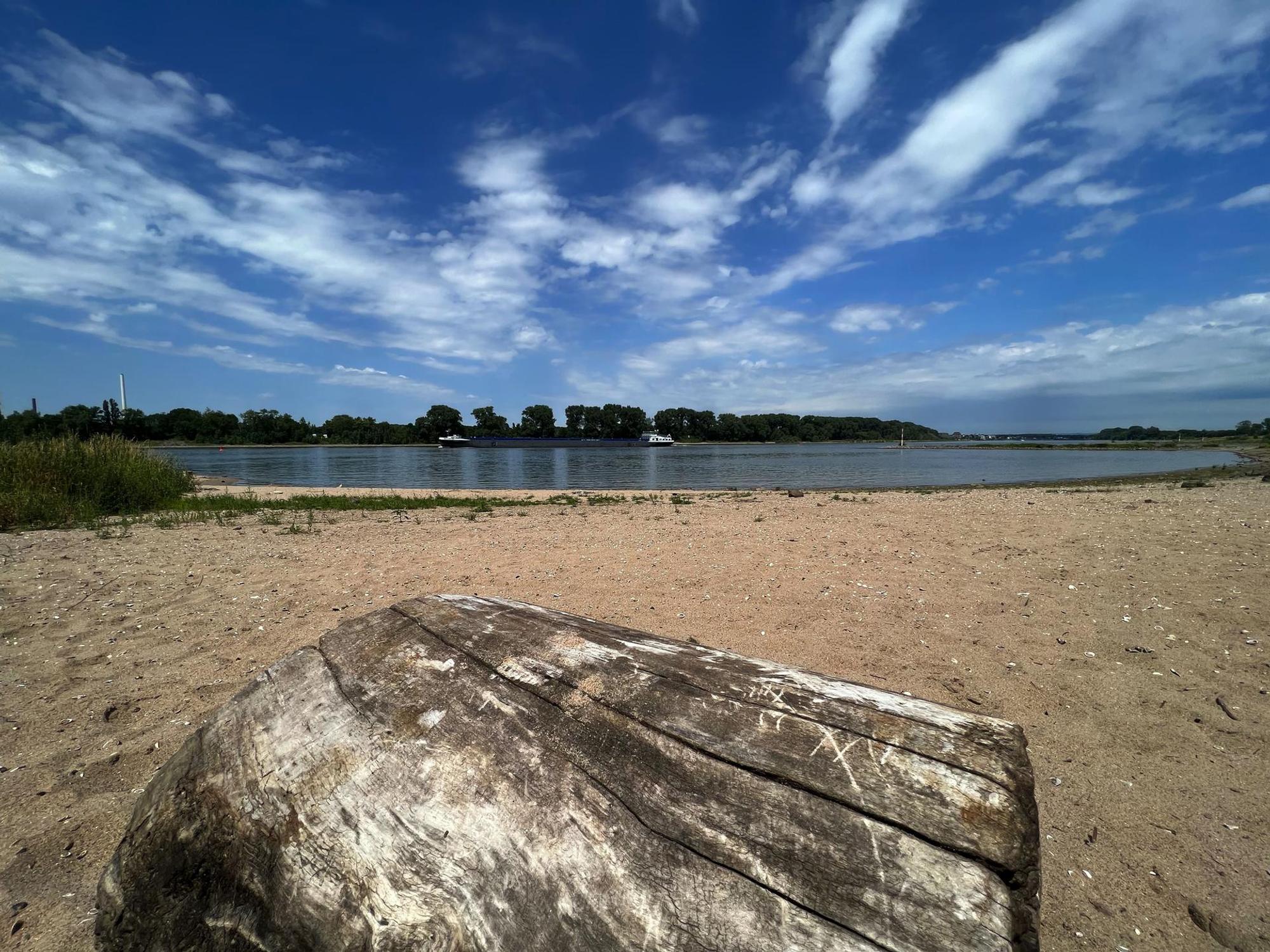 Rhein Porz Dürre
