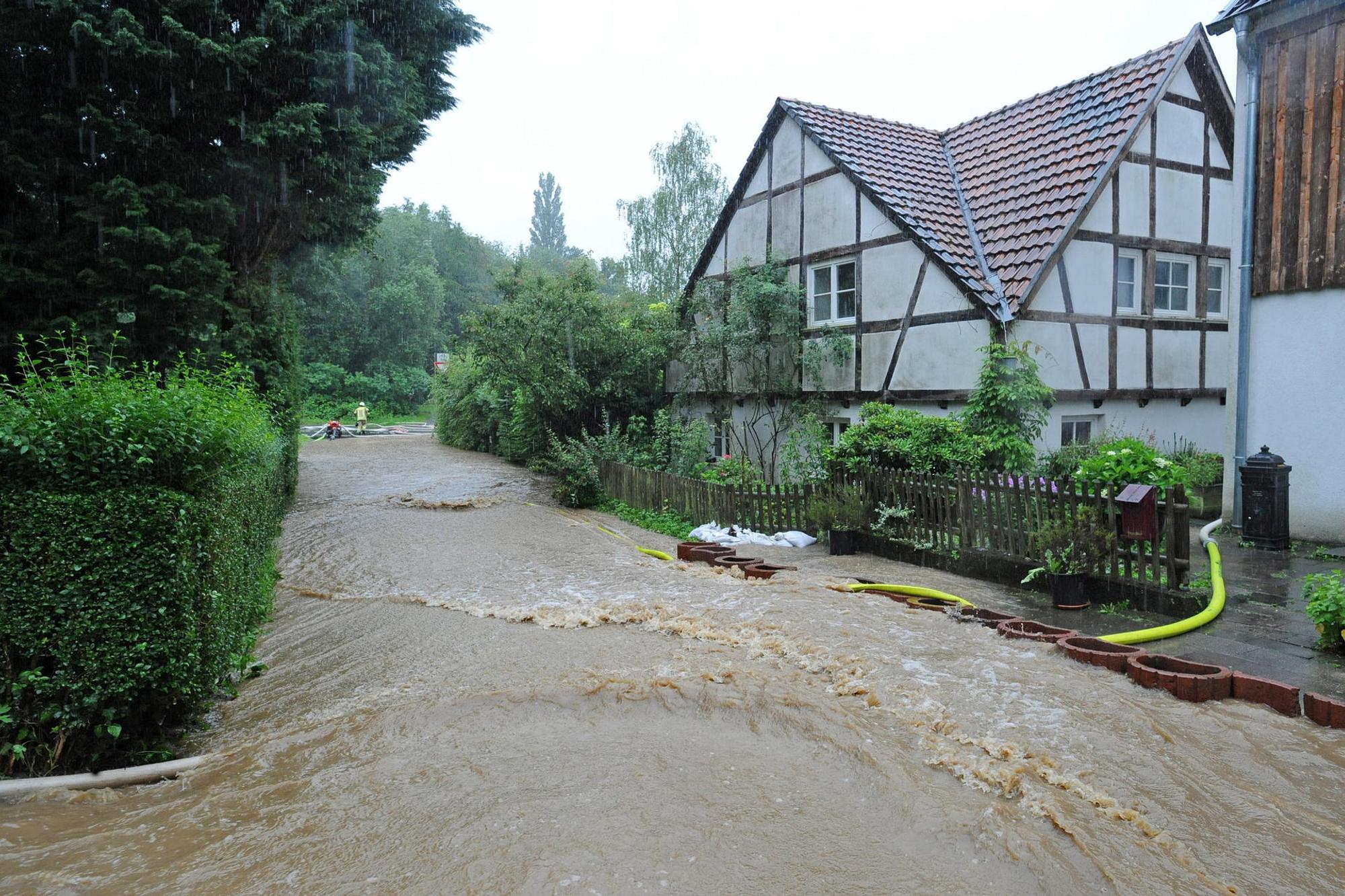 WU_regen_(10)
