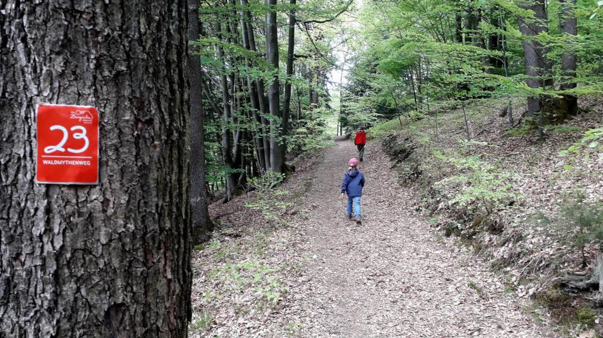 Schöne Laubwälder begleiten den Waldmythenweg