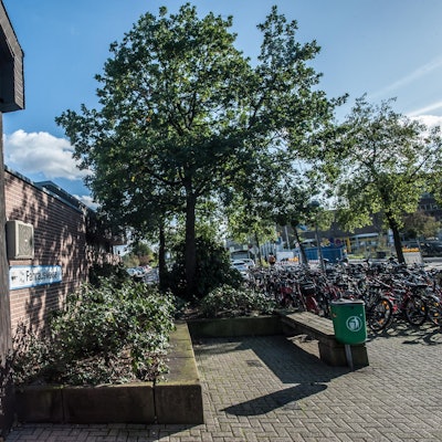 leverkusen-gruenzeug-bahnhof--ALF_7917