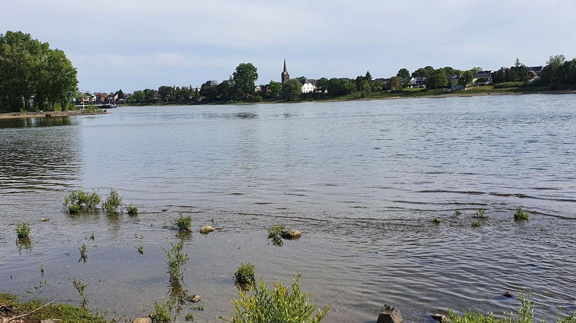 Hier mündet die Sieg in den Rhein. Hier kann man wunderbar vorbeiziehende Schiffe beobachten und einfach mal durchatmen. (Archivbild)