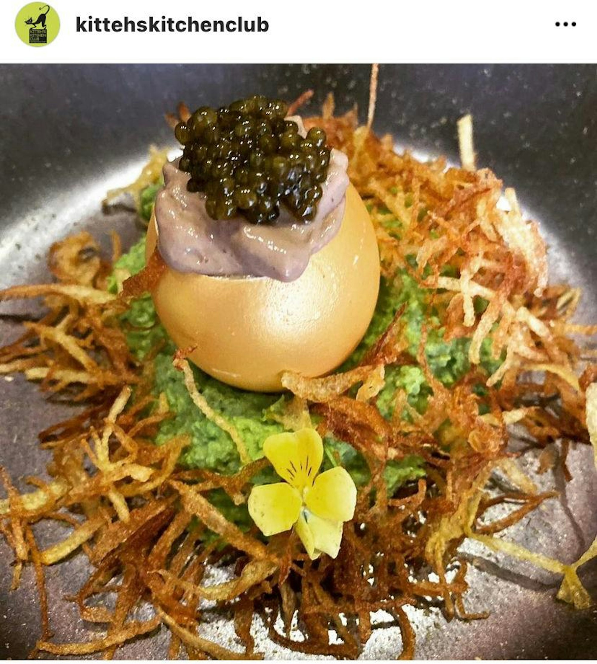 20220223-bru-hoeb-kittehskitchenclub8