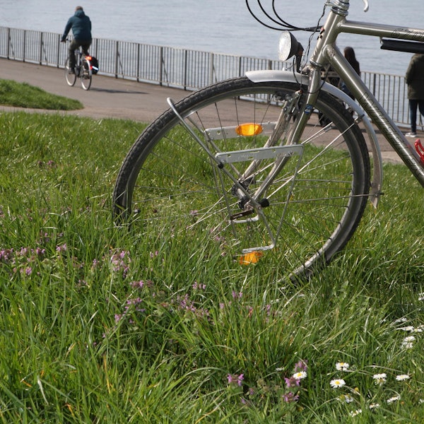Rheinufer an der Mülheimer Brücke
