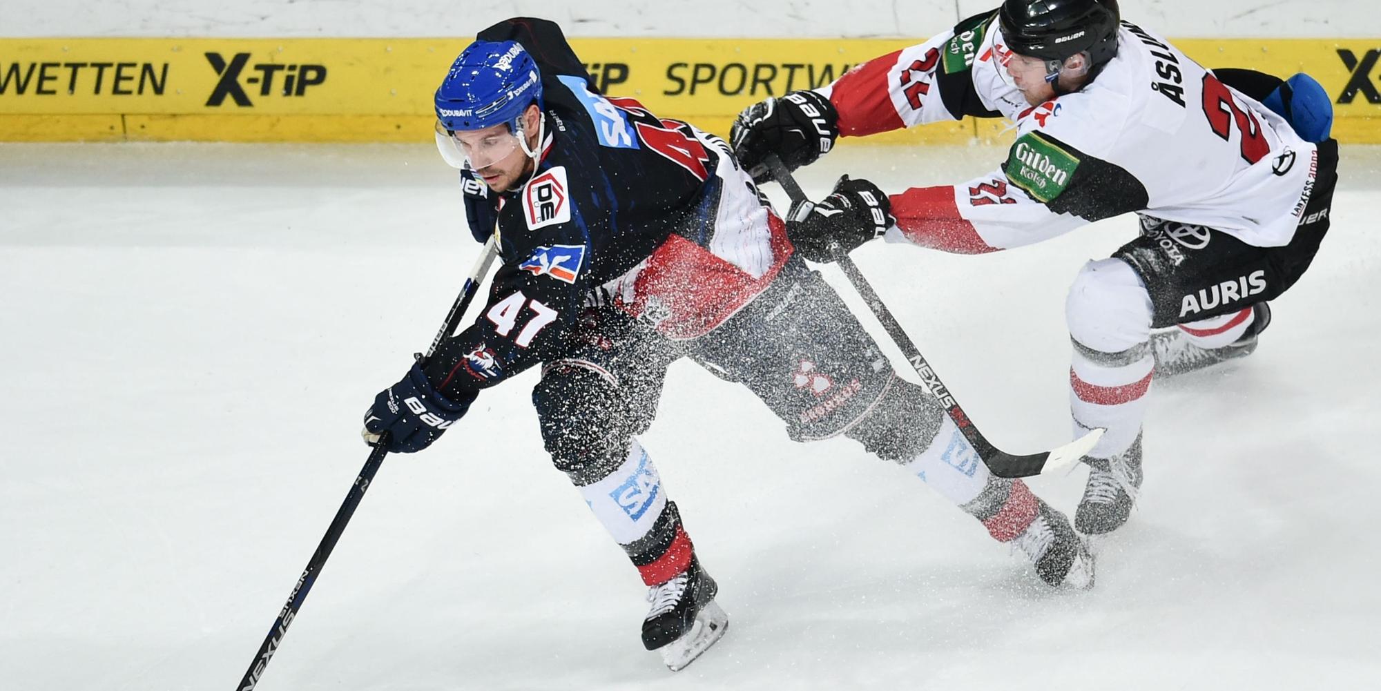Kölner Haie gegen Mannheim 110316