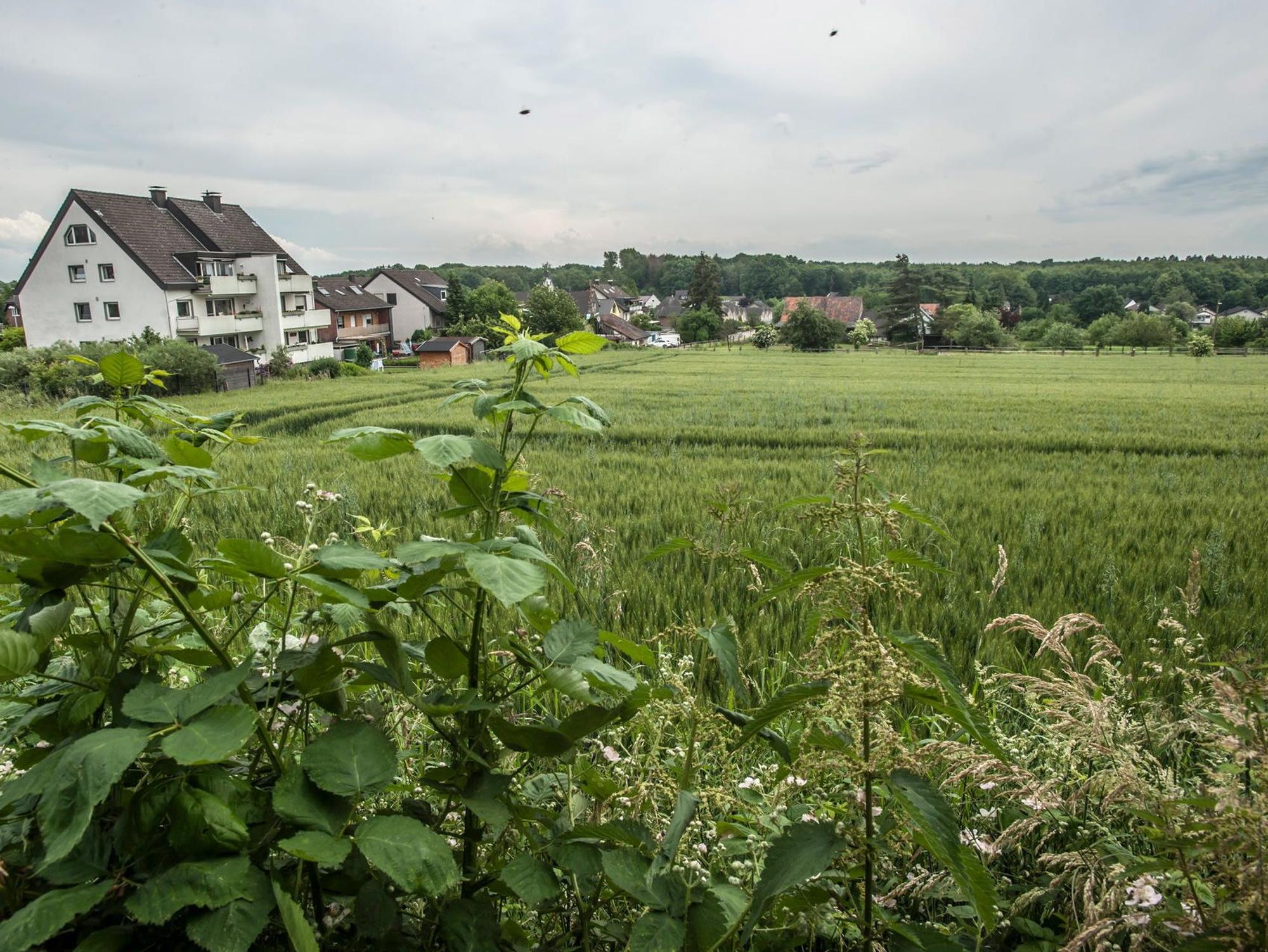 leverkusen-wohnungsbauprogramm2030plus--_nef_alf_9231