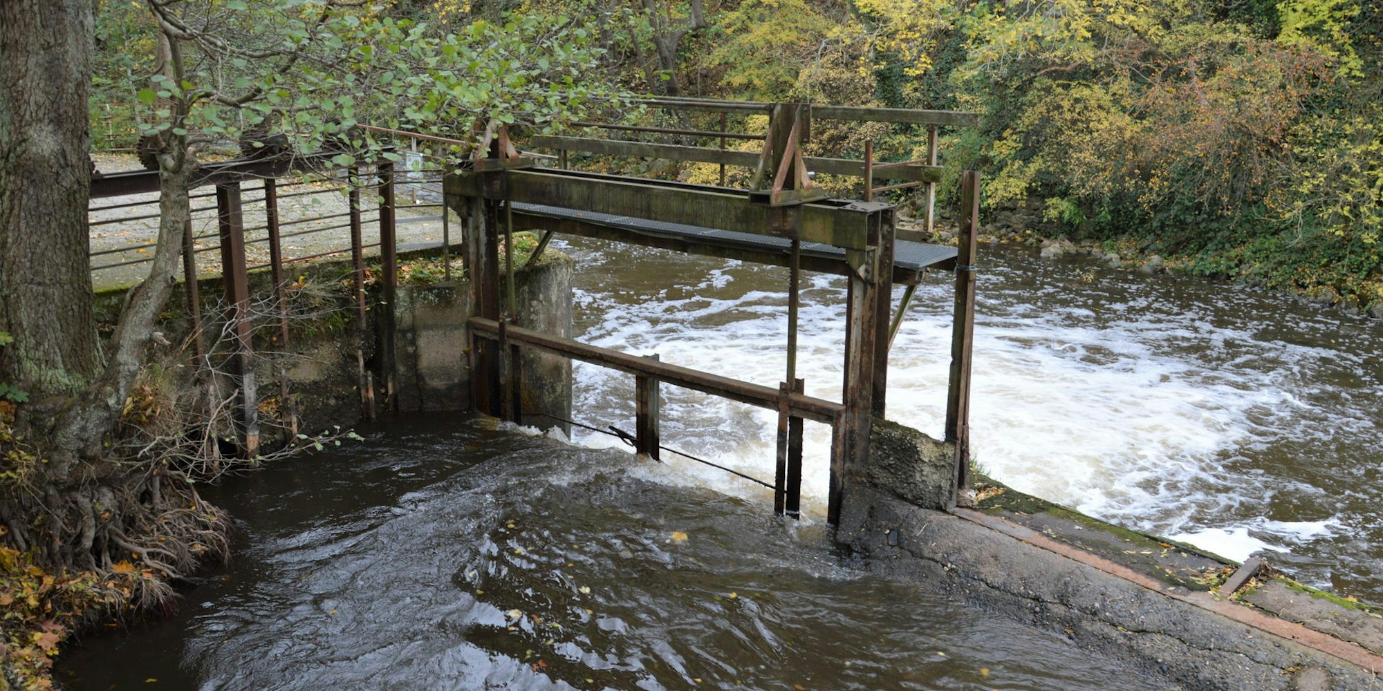 20201030-wki-sle-gemuend_Wasserkraftwerk_2