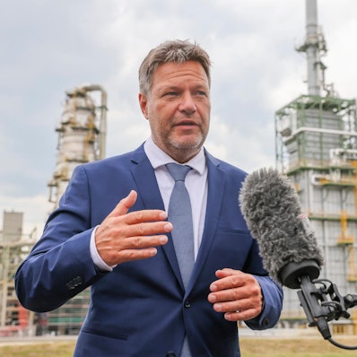 Habeck Sachsen-Anhalt