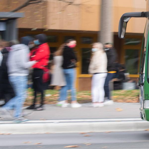 bus