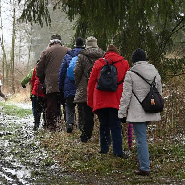 Wanderer Symbolbild