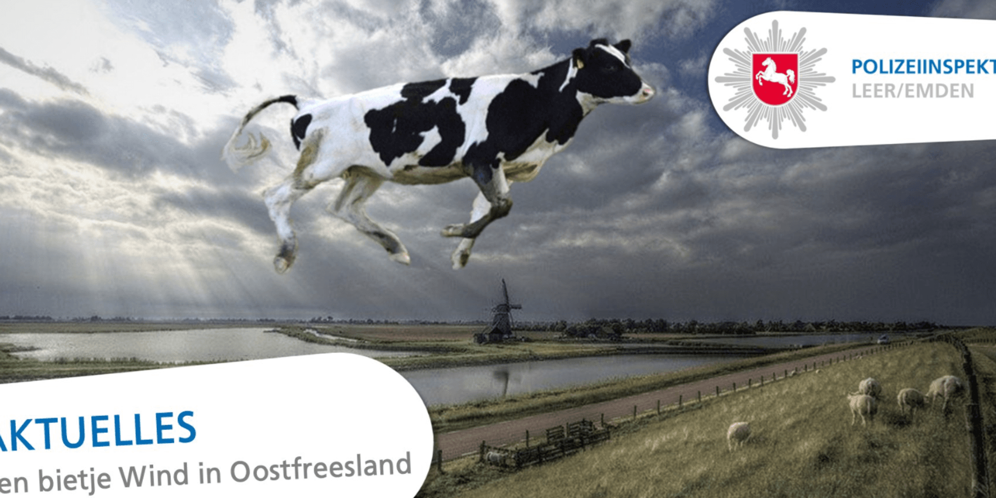 Bild Pol Emden