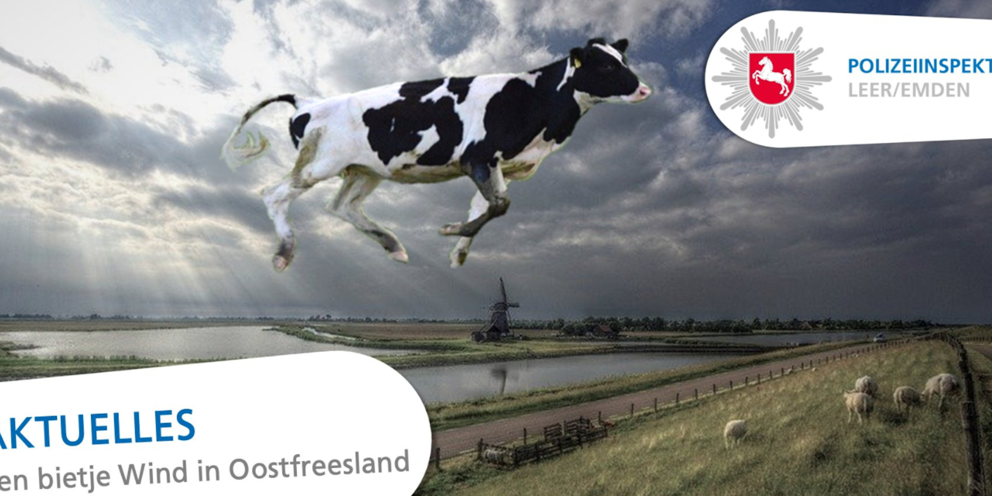 Bild Pol Emden