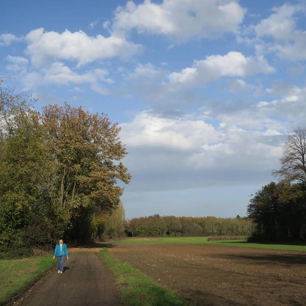 IMG_6732 (2)