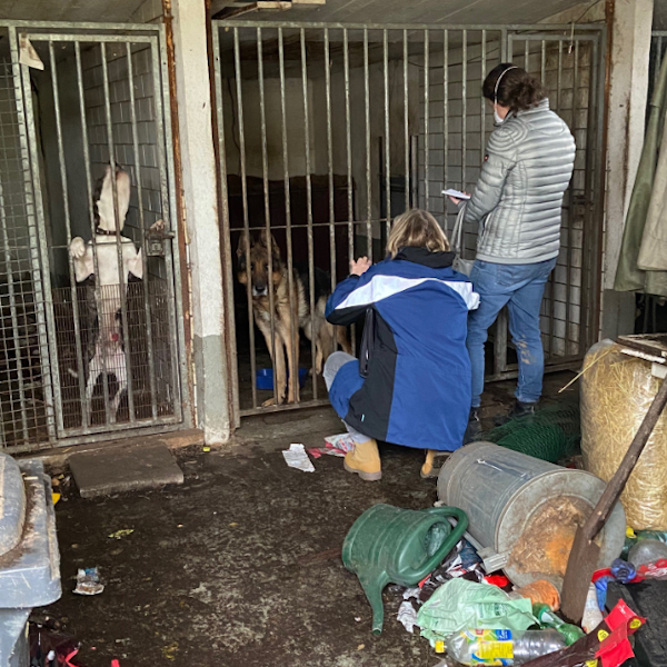 32_FOTO_Hundesicherstellung_5