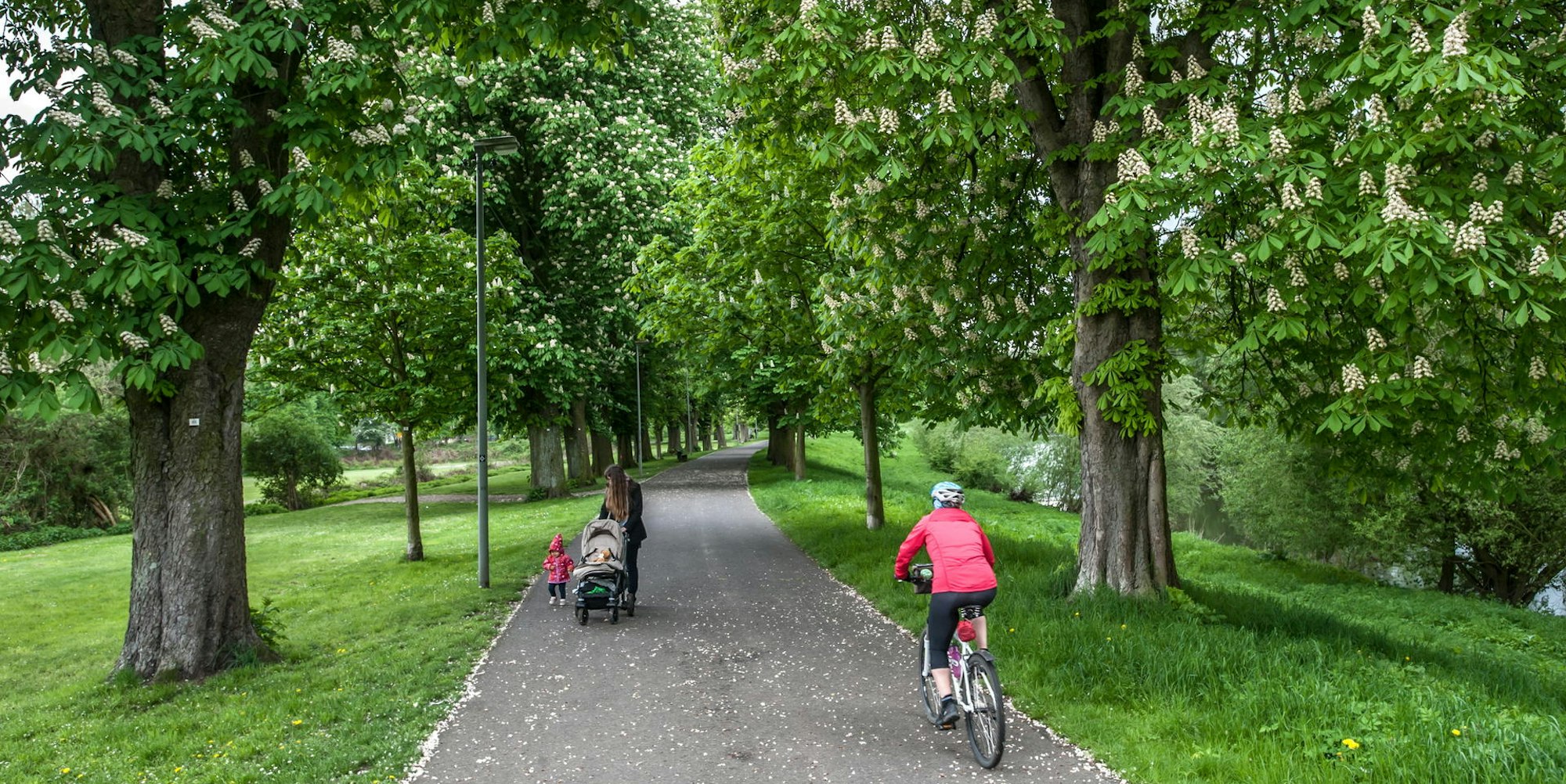 kastanienallee--ALF_3001