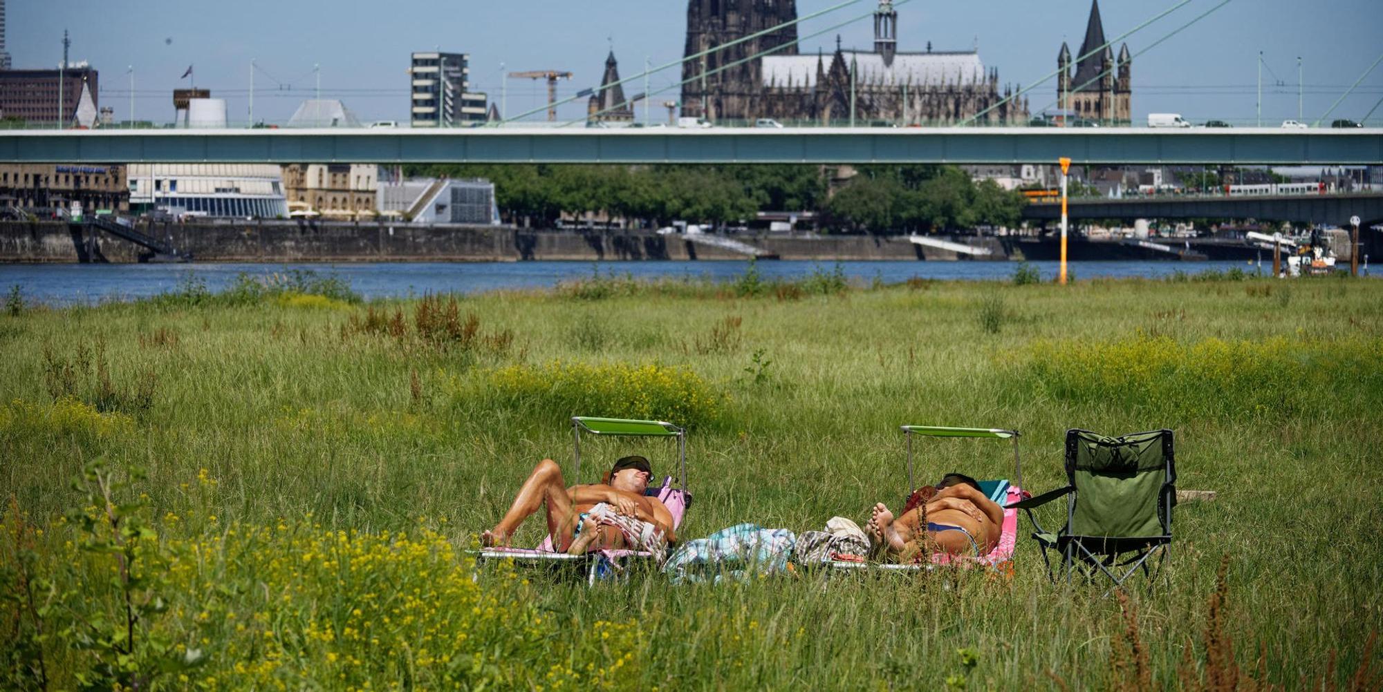 Sommertag_in_Koeln_65777190
