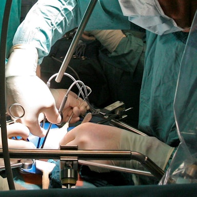 Organentnahme Archivbild