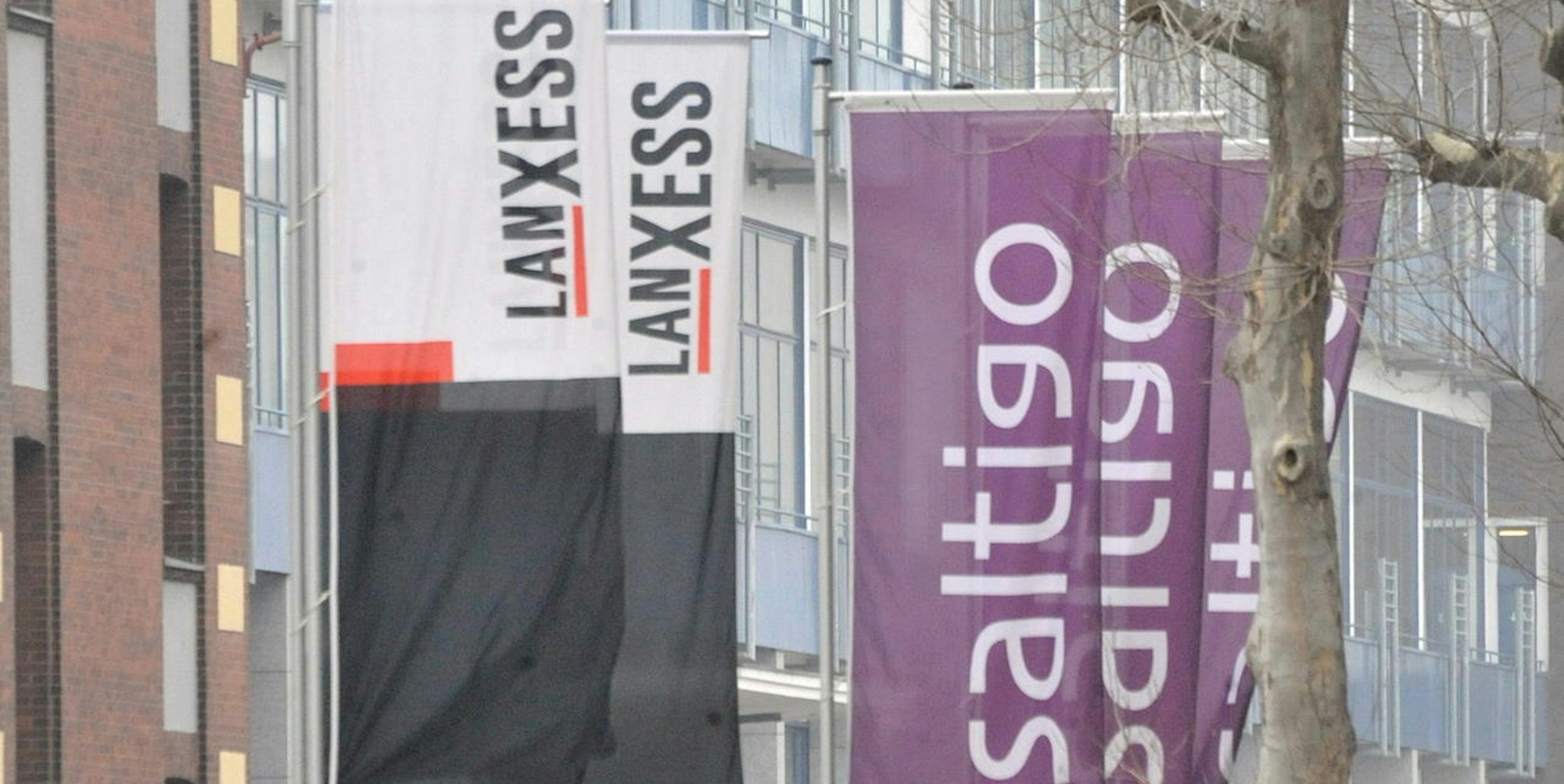 leverkusen-saltigoALF_3234