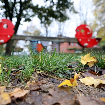 Bergisch Gladbach WAGNER 140120