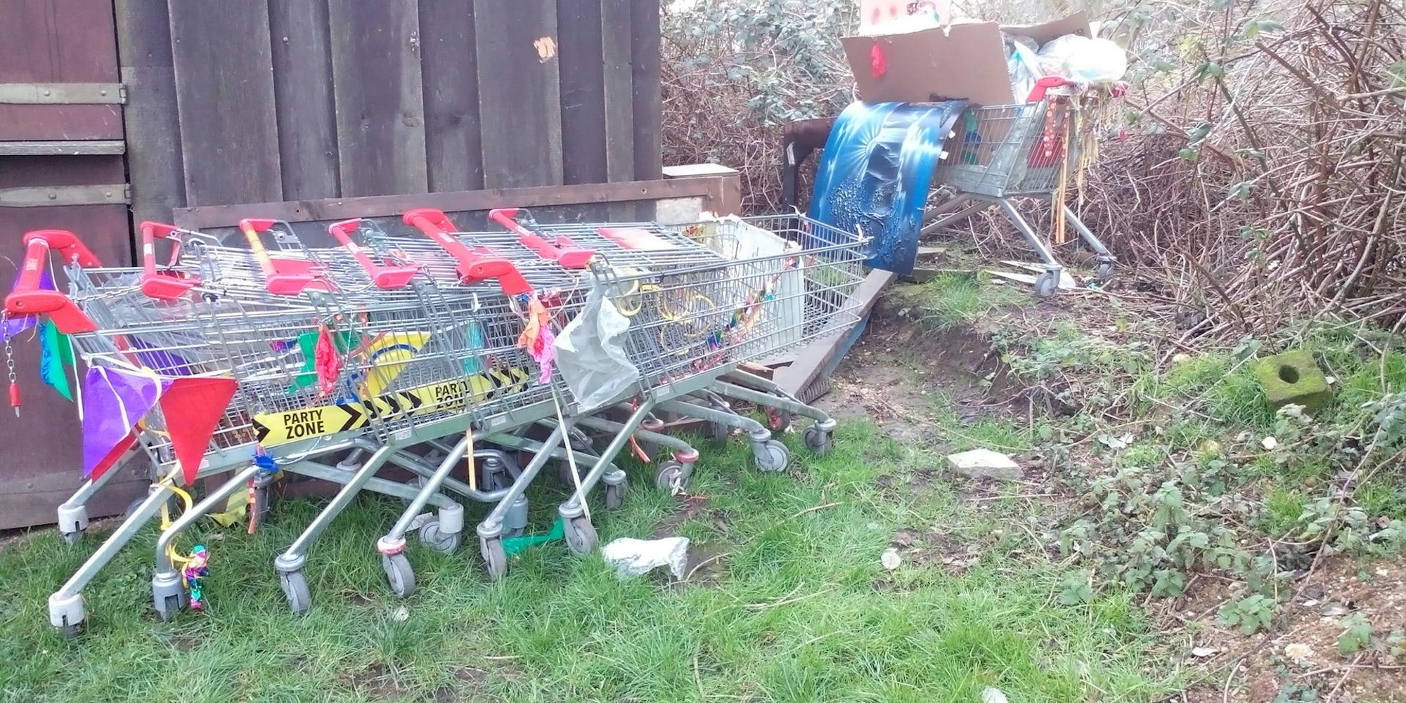 Einkaufswagen Naturschutzgebiet Erft