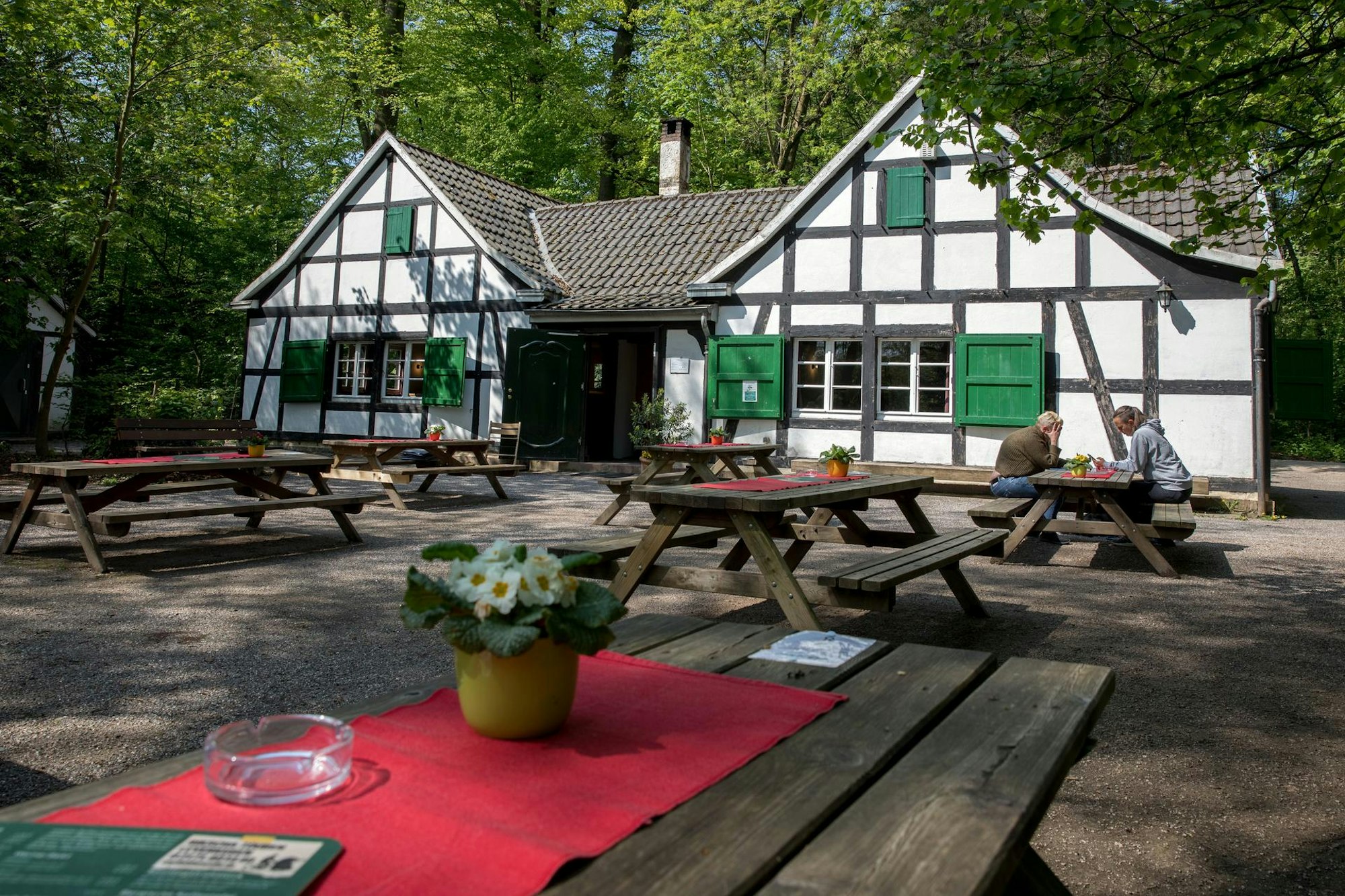 Waldhaus Römer LEV1