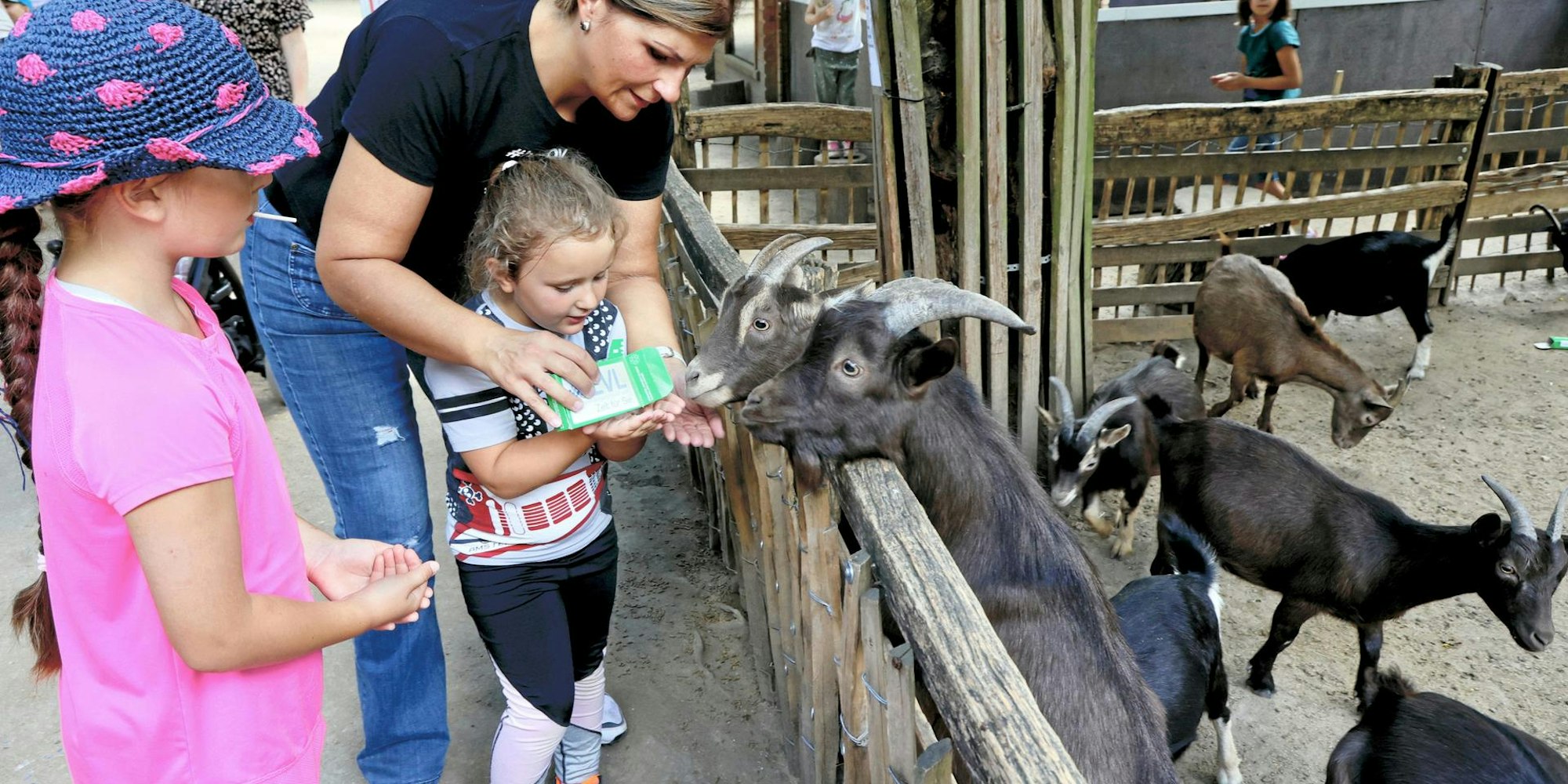 20020904_MW_Wildpark Reuschenberg 01_1