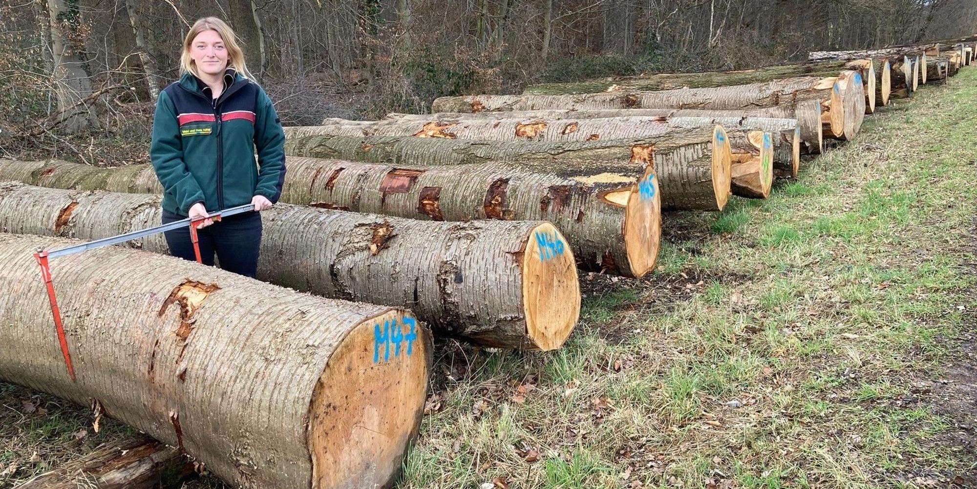 Versteigerung_Holz
