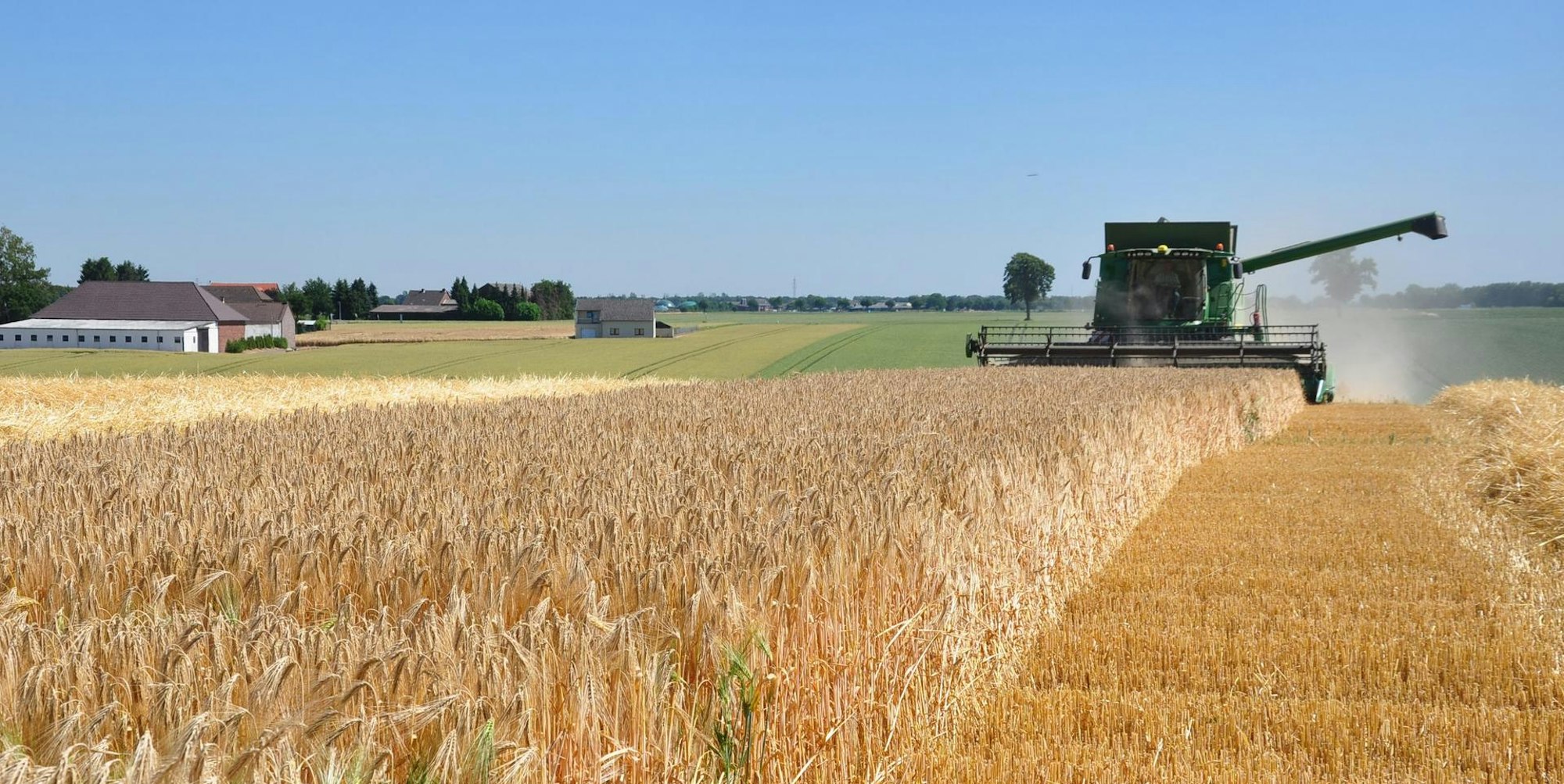 Ernte Sorge Rhein-Erft