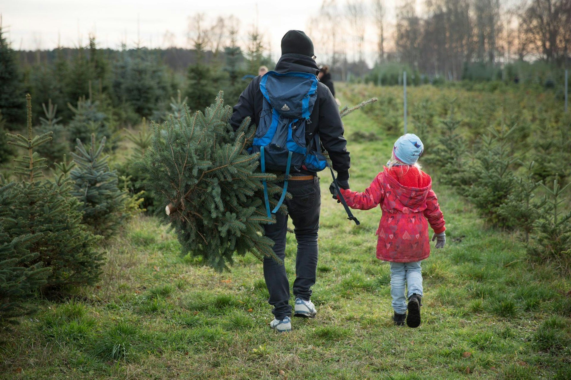 Tannenbaum Verkauf Kind dpa