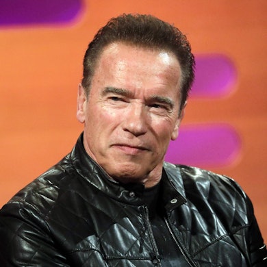 Arnold Schwarzenegger bei einem Fernsehauftritt.