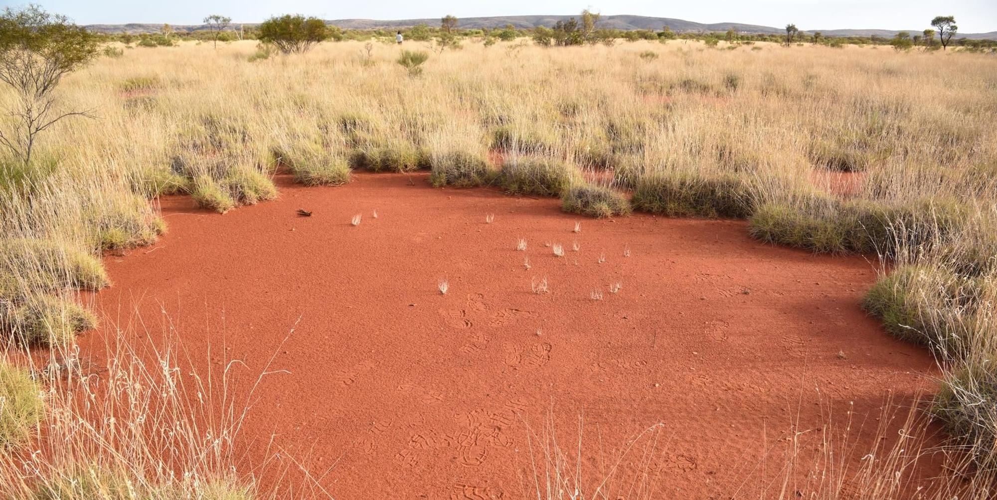 Outback Australien