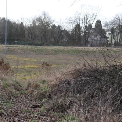 aef-Platzbegrünung-1