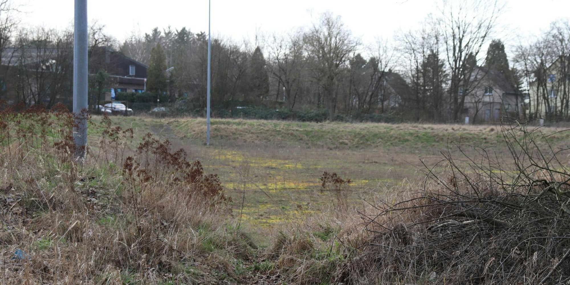 aef-Platzbegrünung-1