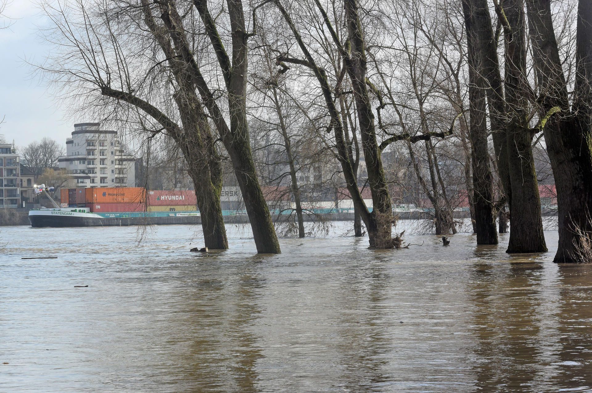 Hochwasser bei Köln