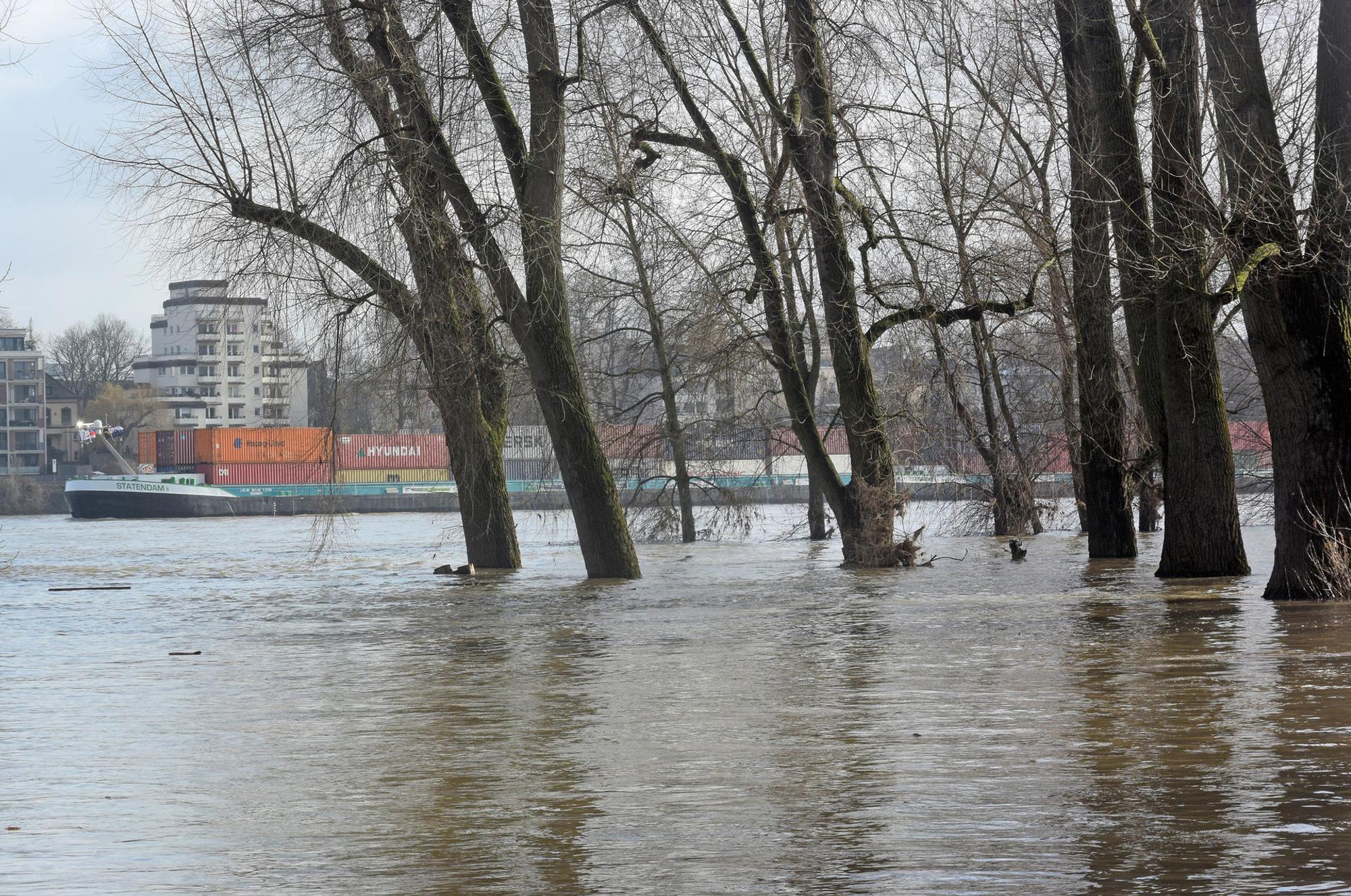 Hochwasser bei Köln