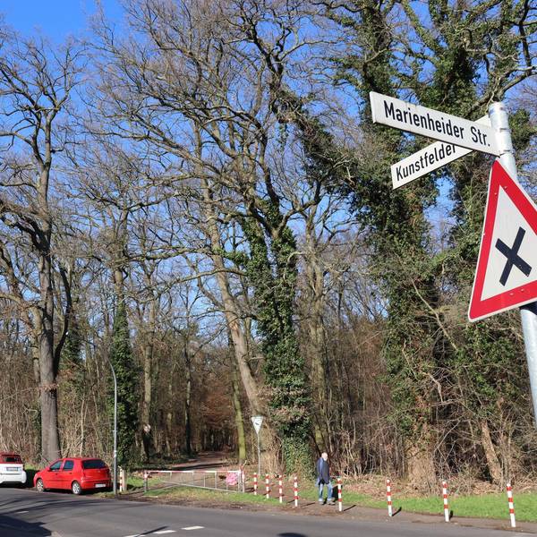 Neuer Inhalt