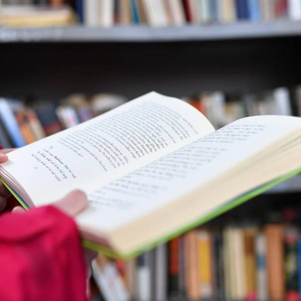 Buch Bücher Lesen