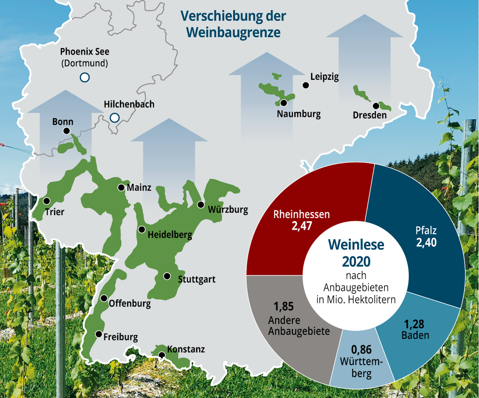 Weinanbaugebiete-Deutschland