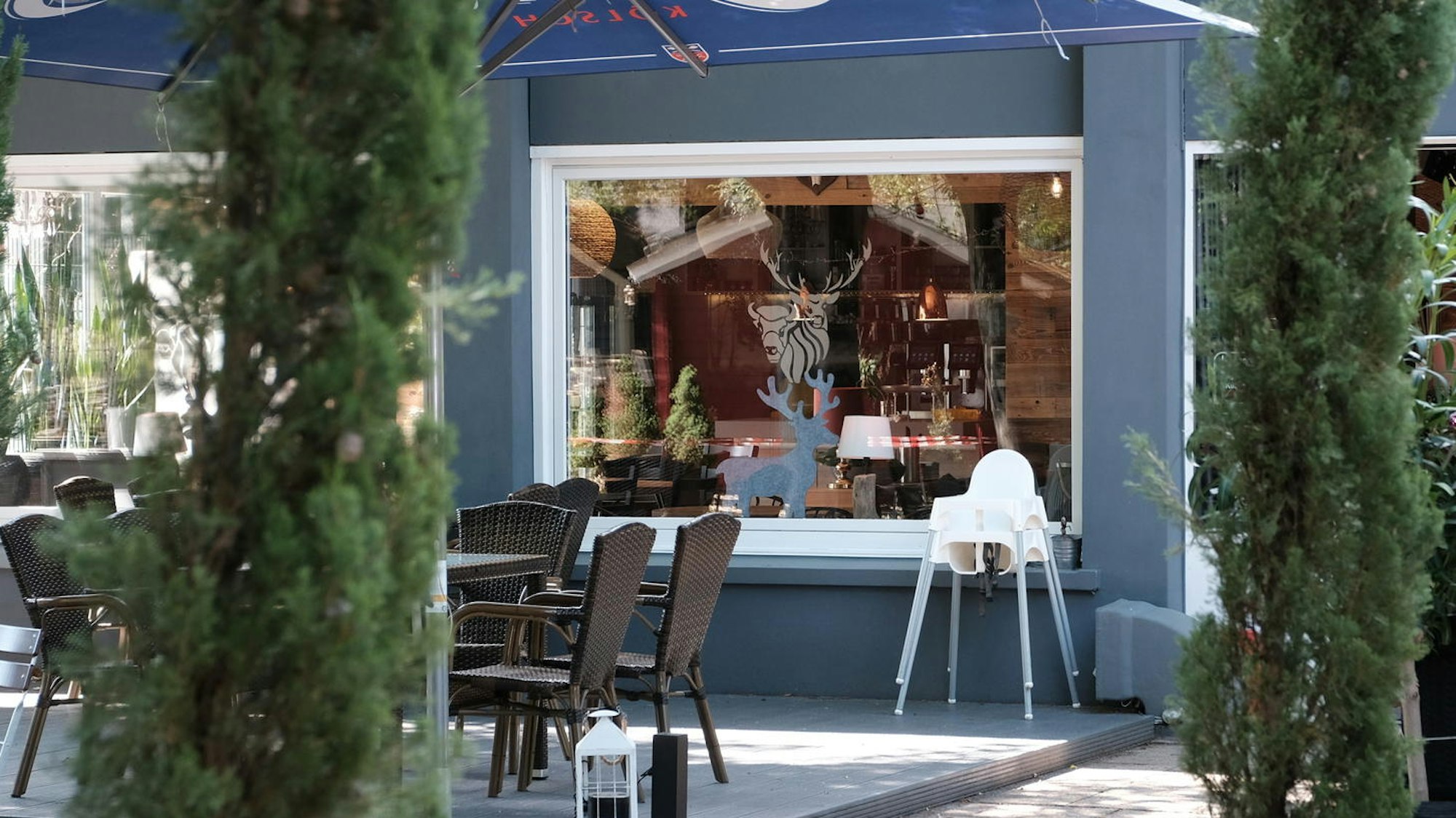 Das Wildwechsel von außen in Köln.