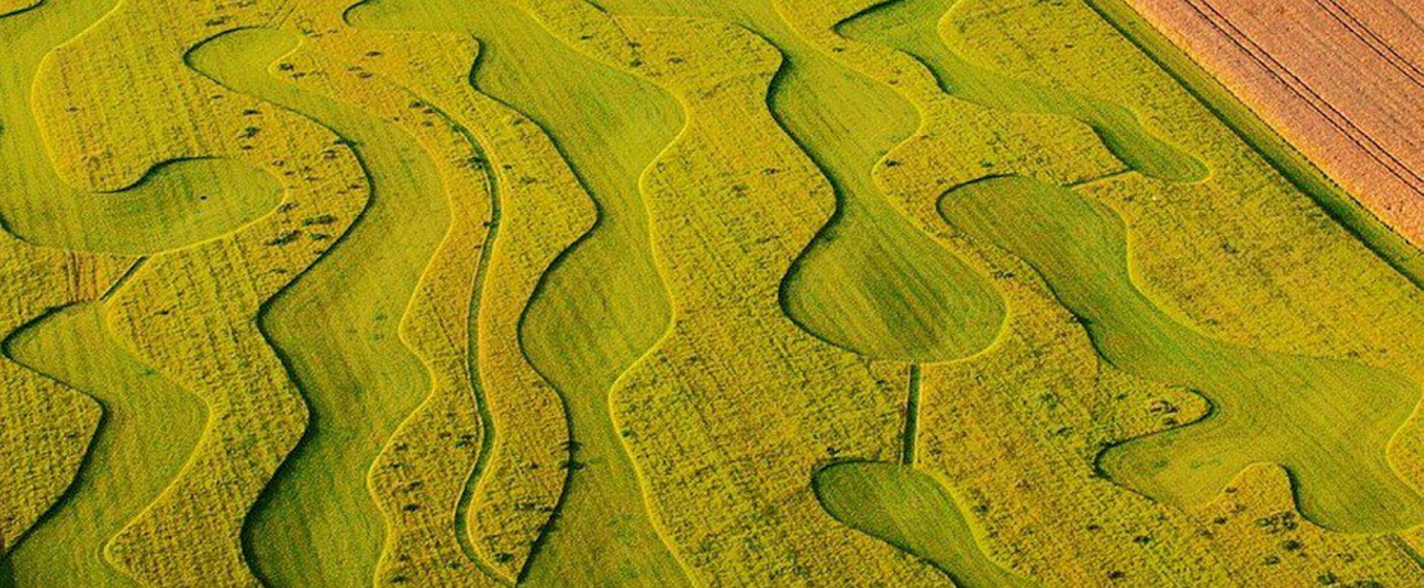 Landwirtschaft im Rhein-Sieg-Kreis Luftaufnahme