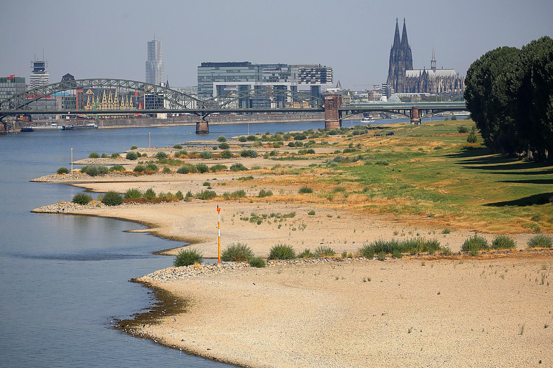 Niedrigwasser Rhein dpa