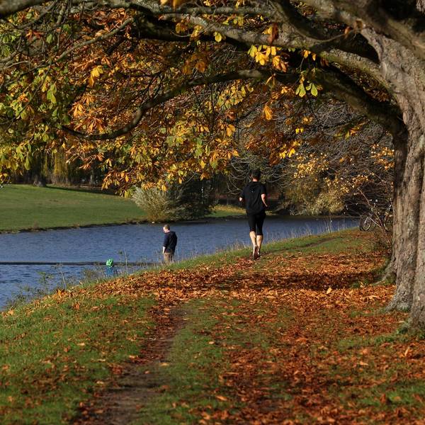Decksteiner Weiher Köln