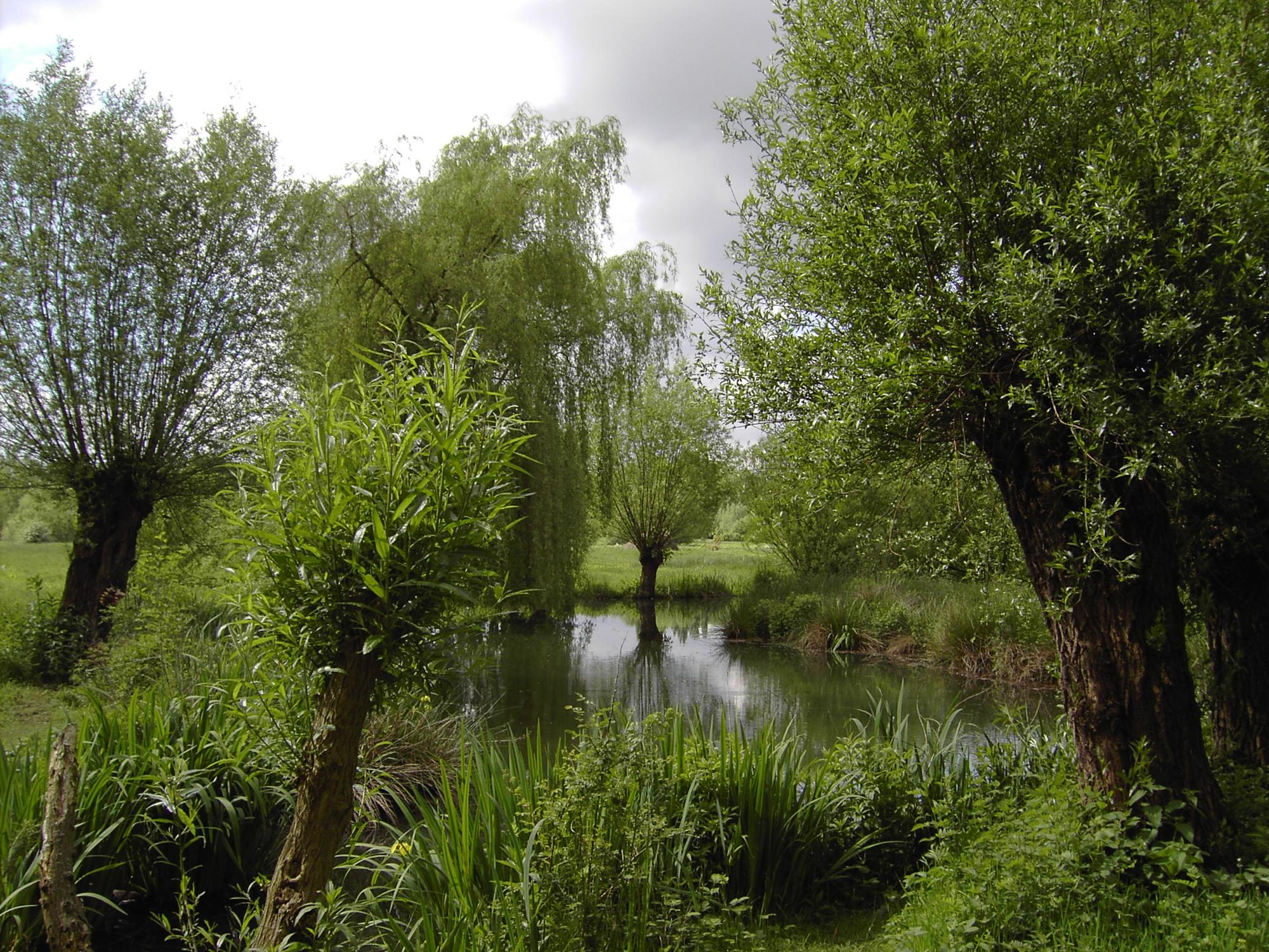 Auenlandschaft_Museumsinsel_Hombroich_Neuss_2006