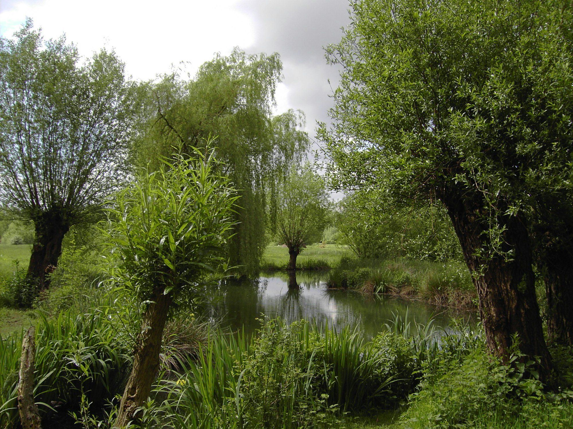 Auenlandschaft_Museumsinsel_Hombroich_Neuss_2006