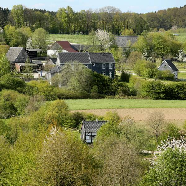 20160504_ths_freilichtmuseum_lindlar_01