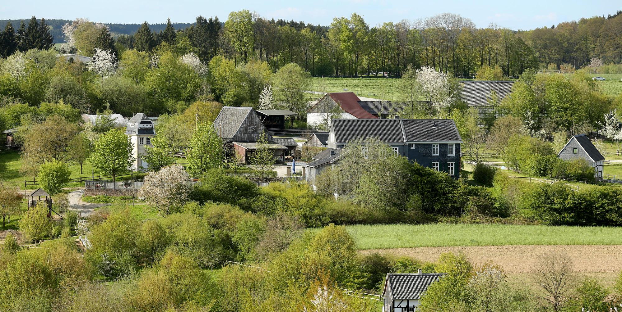 20160504_ths_freilichtmuseum_lindlar_01