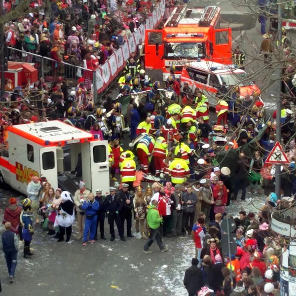 Unfall Pferde Rosenmontag 2 dpa